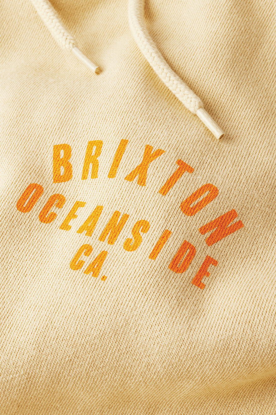 Orange Brixton Woodburn Oceanside Fleece Men's Hoodie | 192734OKP